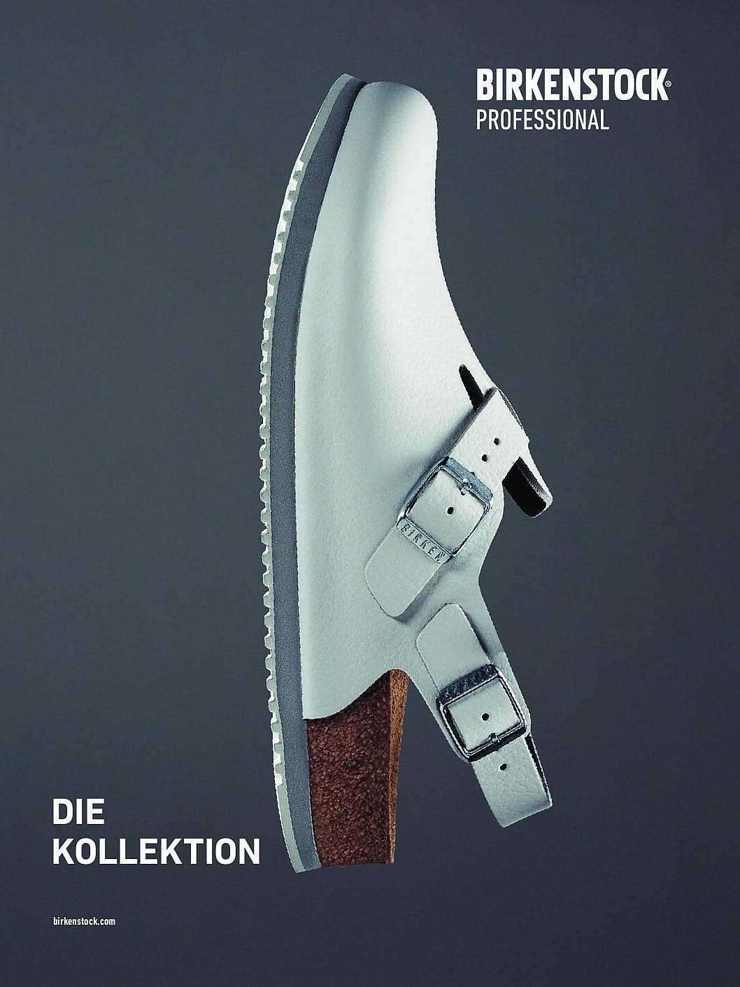 Catalogue BS Professional D pdf