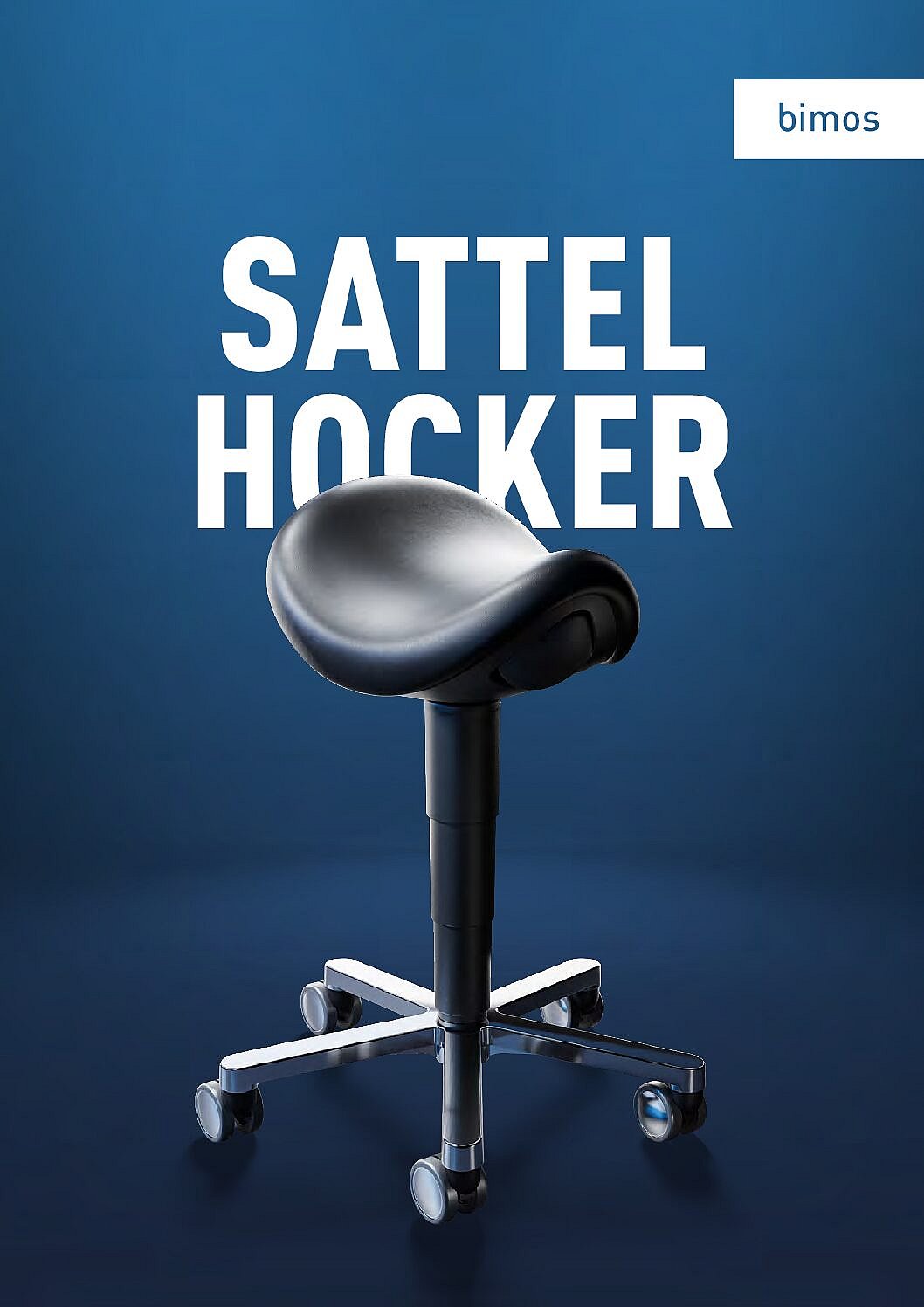 PB01SATTEL00 pdf