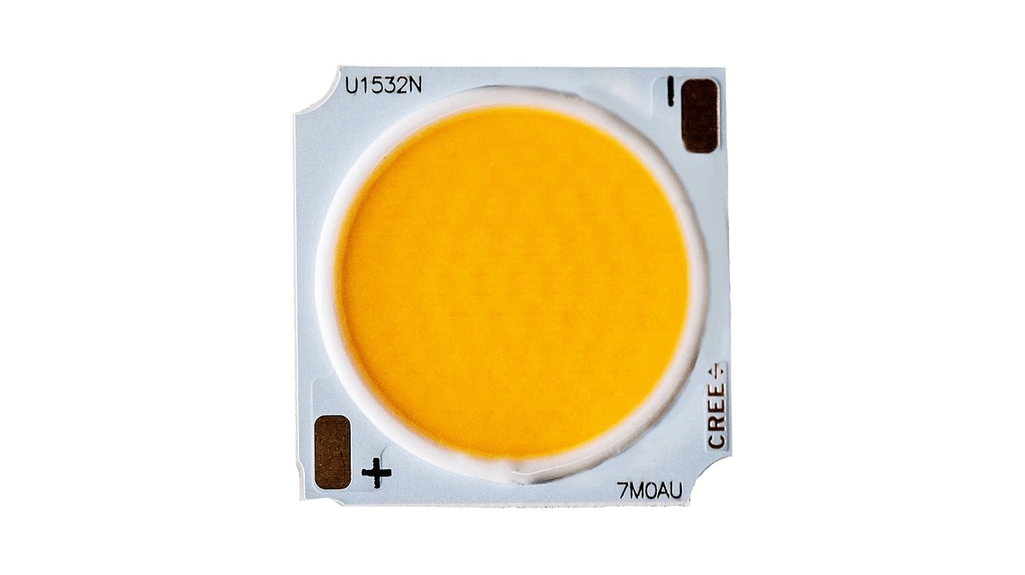 LED COBs