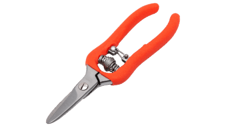 XCE 86NCG IMG ANGLE 01