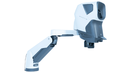 Mantis PIXO Verso, pied arrière gauche 32