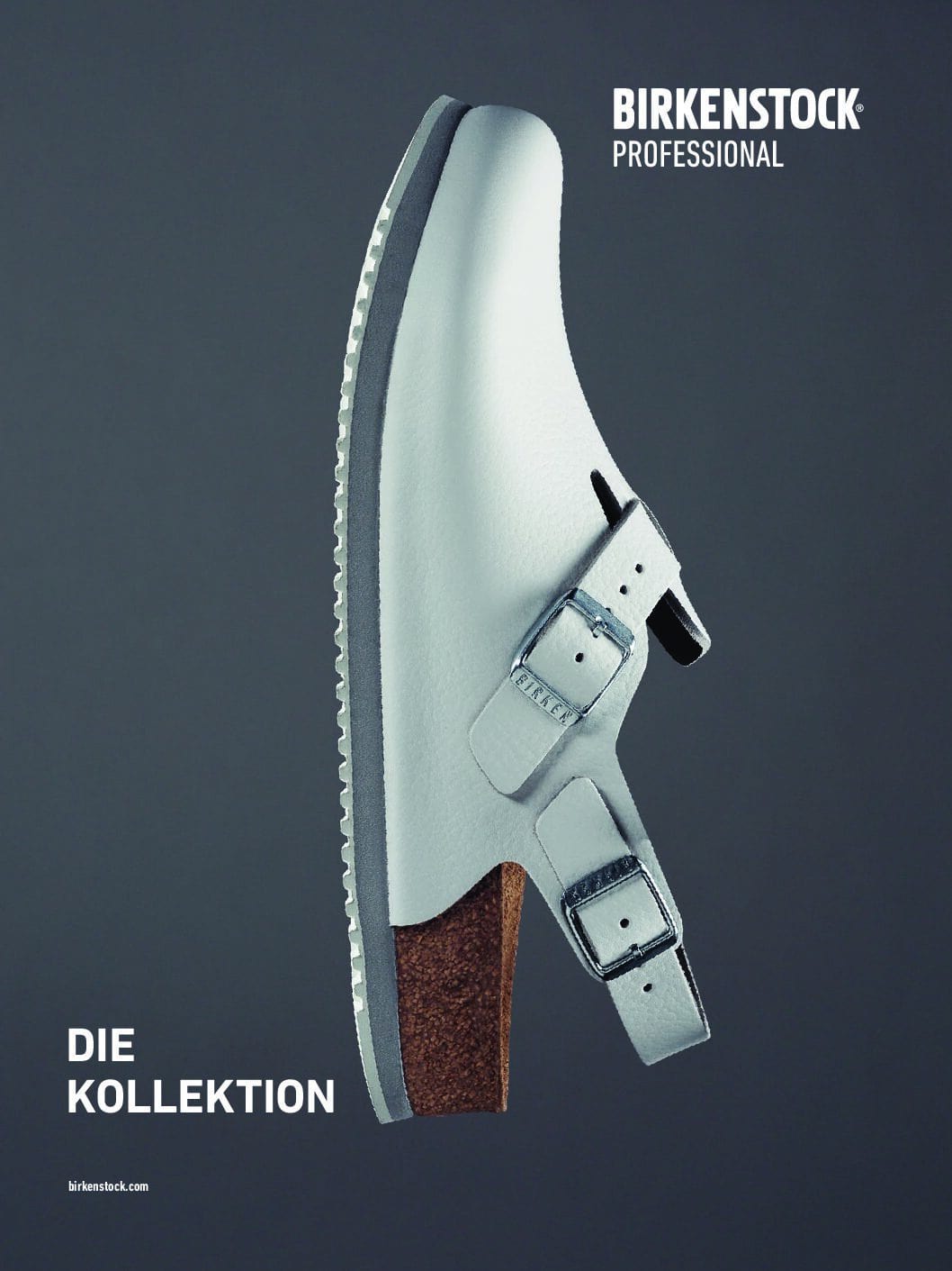 BS Professional Katalog D pdf