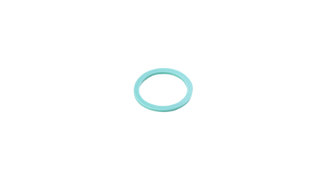 Techno Silikon O-Ring M20
